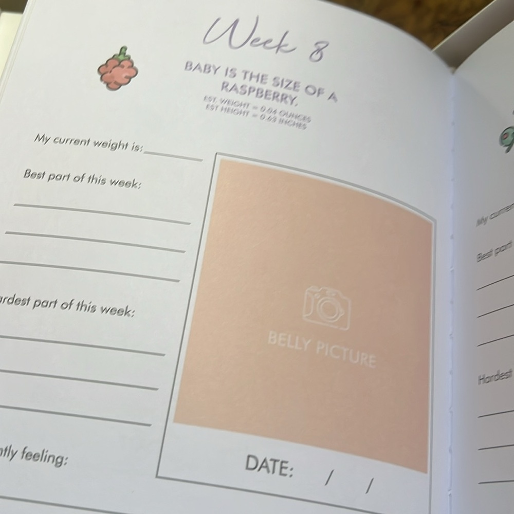 NWB. Gold Lettered Pregnancy Journal - Picture 3 of 8
